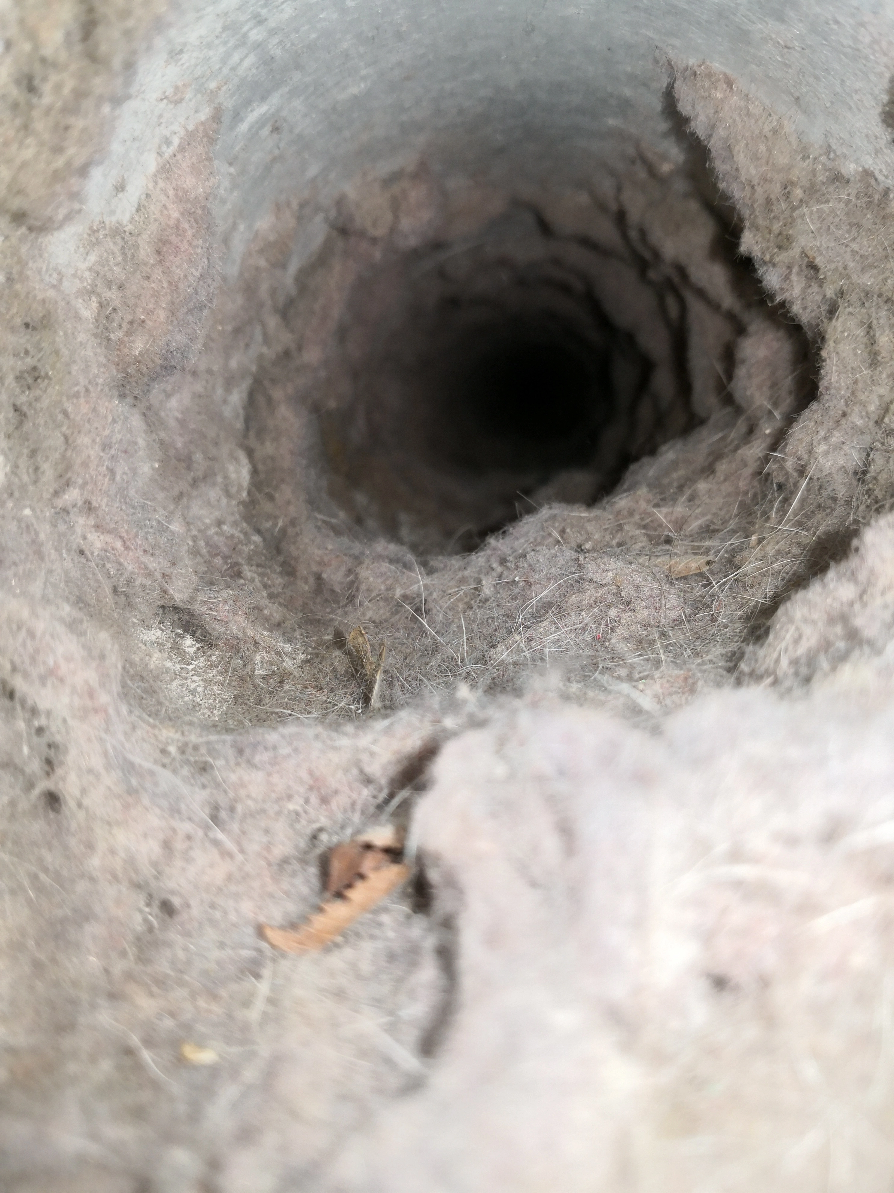 Dryer vent interior before professional cleaning in Raleigh NC — heavy lint buildup blocking airflow