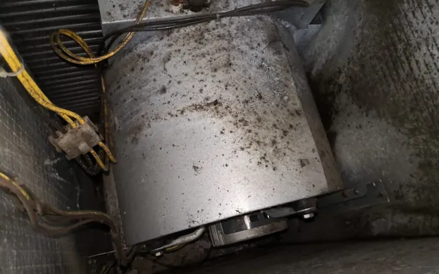 Contaminated air duct before professional mold remediation — The Air Ducters